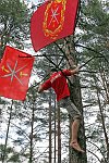Activist of the pro-Kremlin Nashi (Ours) youth movement running up the flags of his delegation in the tree in the Nashi summer camp on Lake Seliger, some 300 kilometres (~180 miles) northwest of Moscow, Sunday, July 15, 2007. Pro-Kremlin Nashi (Ours) youth movement has assembled about 10 thousand young people from all over Russia to a summer camp where they are going to do sports and attend political and socially oriented lectures and training sessions for two weeks.