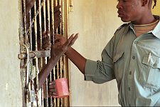 The policeman talking to the prisoner. The police station El Imam Malik in the Omdurman, the suburb of the capital. Khartoum, Sudan. Monday, Dec. 22, 2003.